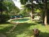 Banana House - Pool 